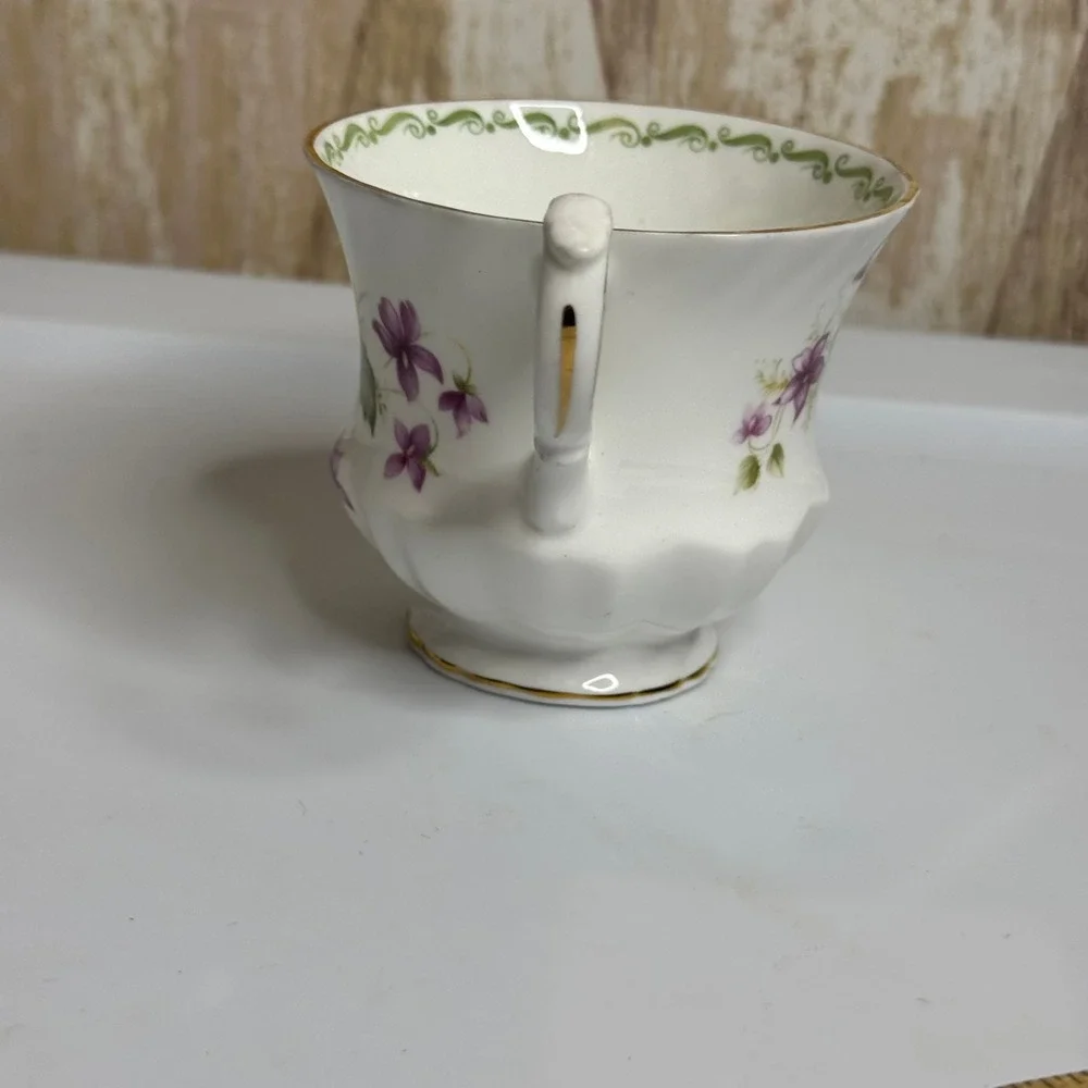 Queens Special Flowers Violets Fine Bone China Tea Cup Rosina China Co England
